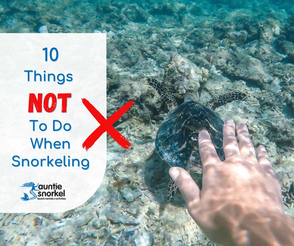 10 Things Not To Do When Snorkeling