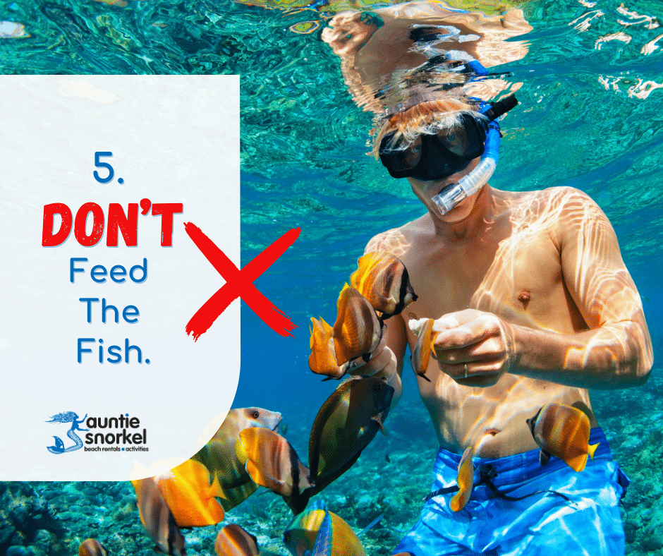 Don't Feed The Fish