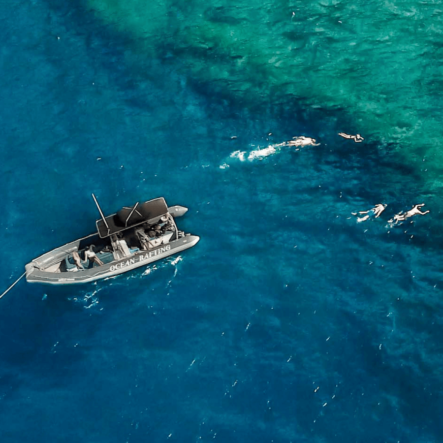Hawaii Ocean Rafting Lanai Snorkel and Dolphin Watch - Semi-Private Snorkel Tour