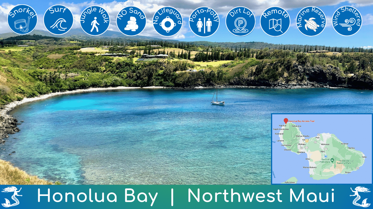 Honolua Bay Beach Guide