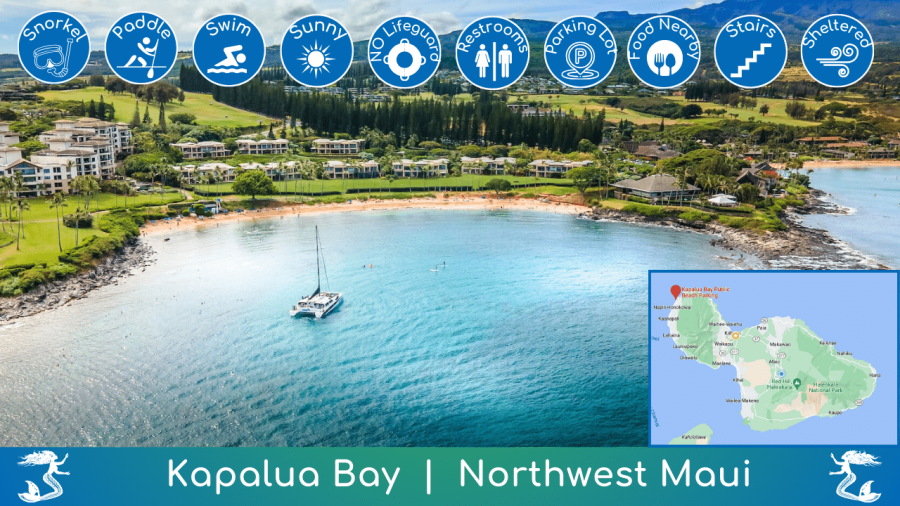 Kapalua Bay Beach Guide