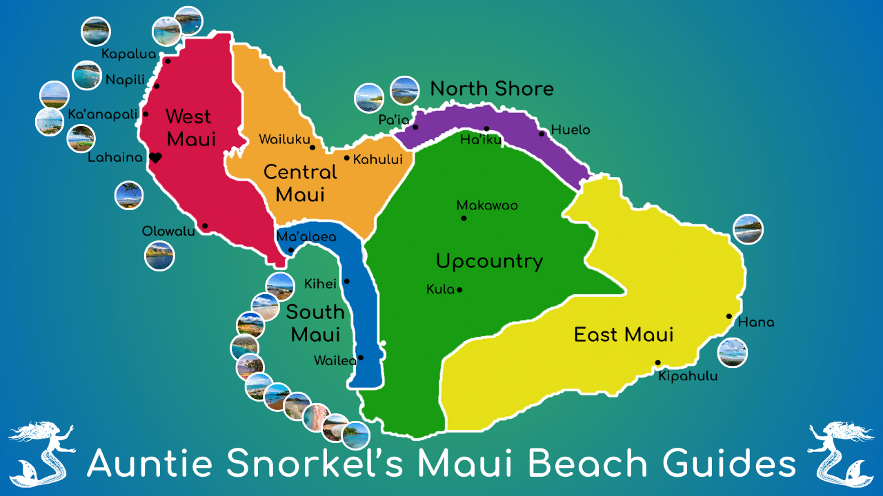 Auntie Snorkel's Maui Beach Guides Overview