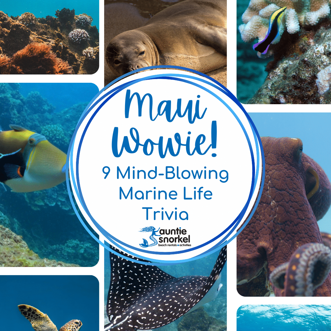 Marine Life Trivia