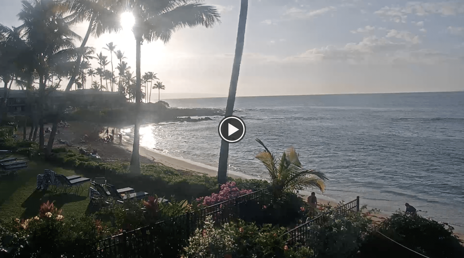 Napili Bay Webcam - Maui Webcams - Auntie Snorkel