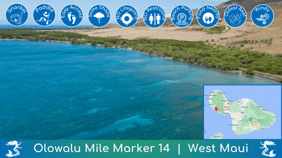 Olowalu Mile Marker 14 Beach Guide