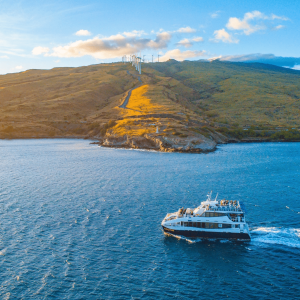 Our Favorite Maui Sunset Dinner Cruise - Calypso Maui Sunset Dinner Cruise - Book Maui Activities at Auntie Snorkel