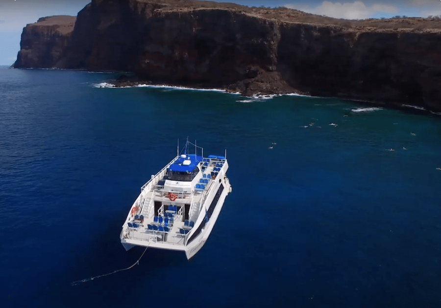 Pacific Whale Foundation Lanai Snorkel Tour
