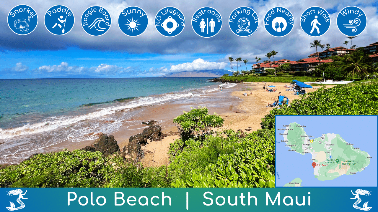 Polo Beach Guide Overview