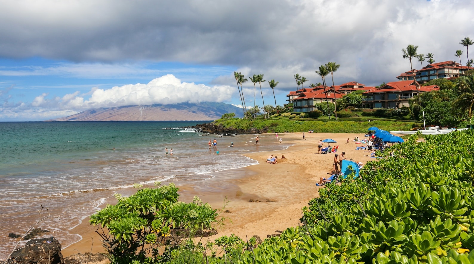 Polo Beach Webcam - Maui Webcams - Auntie Snorkel