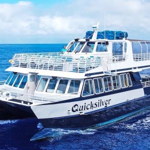 Quicksilver snorkeling trip to Lanai