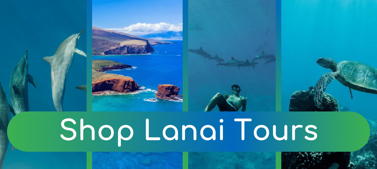 Shop Lanai Tours