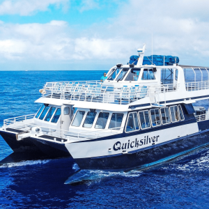 Spacious Double Deck Catamaran - Quicksilver Turtle Town Snorkel Tour - Book Maui Activities at Auntie Snorkel
