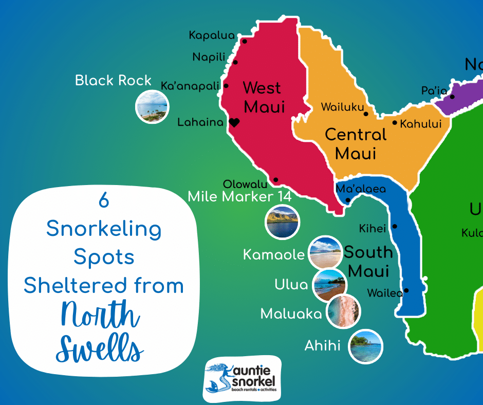 Maui Snorkeling Spots Sheltered from North Swells