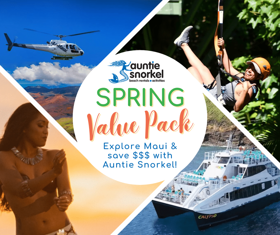 Spring Value Pack of Maui Activities