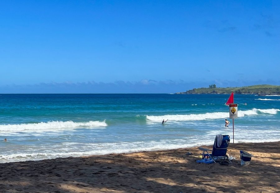 What to Bring to DT Fleming Beach Park - Rent Maui Beach Gear at Auntie Snorkel