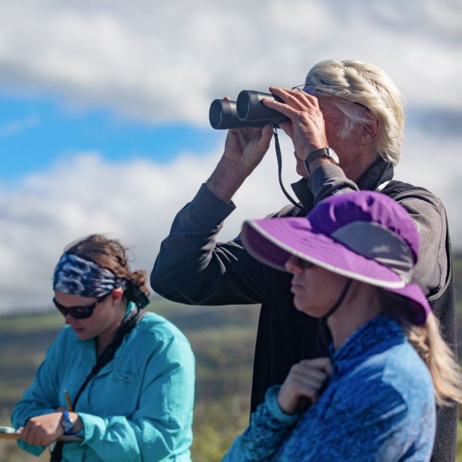 Great Whale Count Maui - Photo by Pacific Whale Foundation