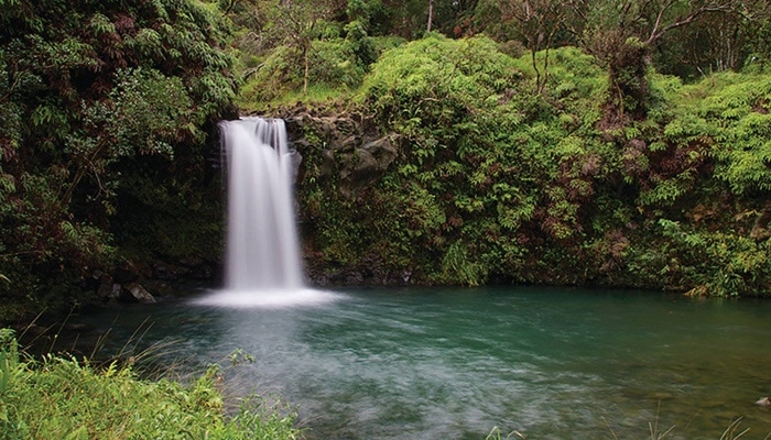 polynesian-adventure-hana-tour-2